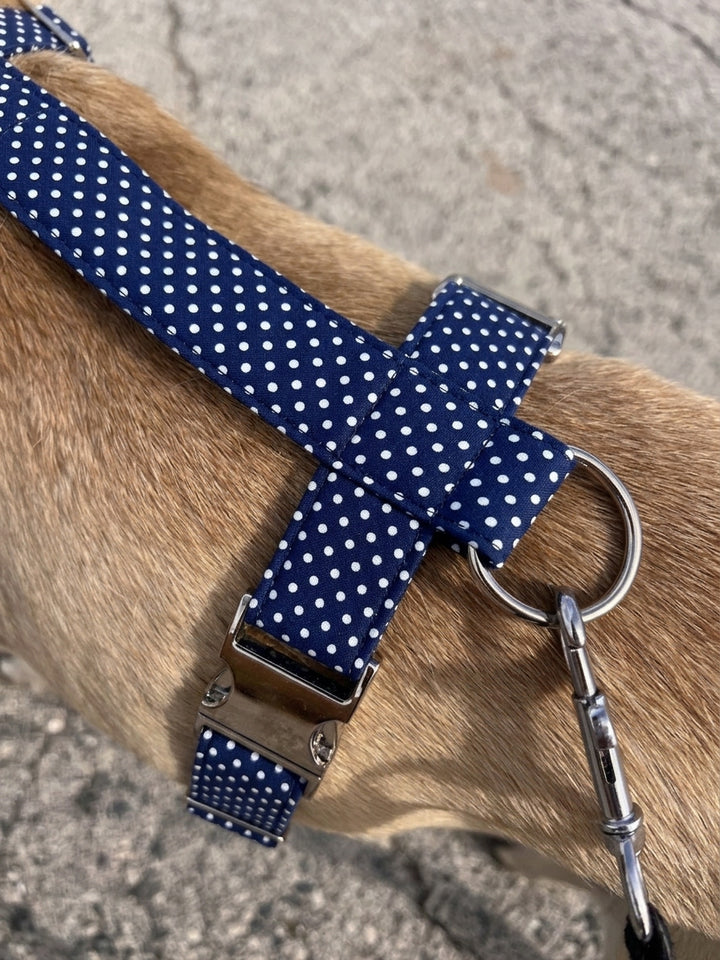 Arnés Navy Polka Dots