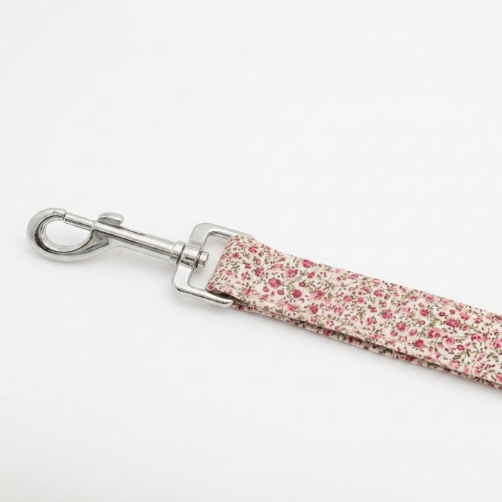 Correa Pink Blossom