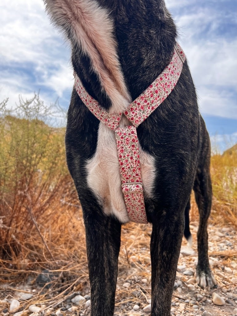 Arnés Pink Blossom